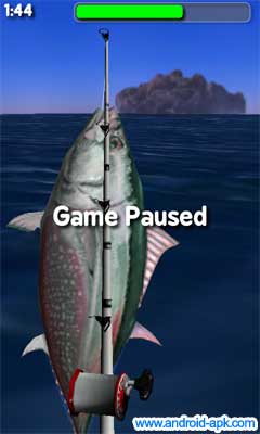 Fishing Tuna 钓鱼 蓝鳍吞拿鱼
