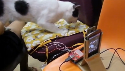 人猫互动 Arduino Android 装置