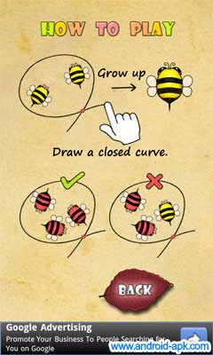Bugs Circle 圈蜜蜂