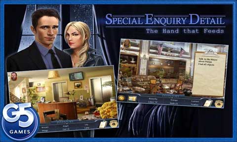 Special Enquiry Detail