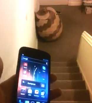 Galaxy Nexus drop Test