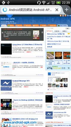 Firefox Browser