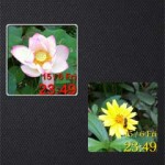 My Photo Clock 相片時鐘 Widget
