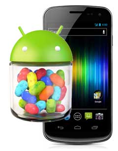 Galaxy Nexus Jelly Bean