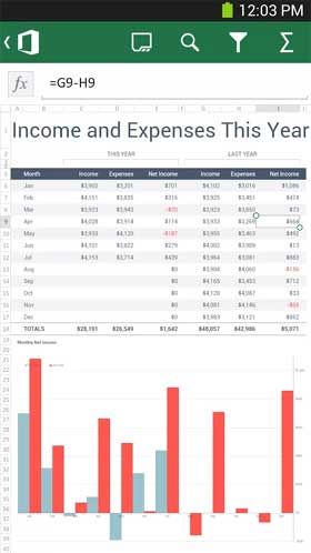 Microsoft Office Mobile Excel