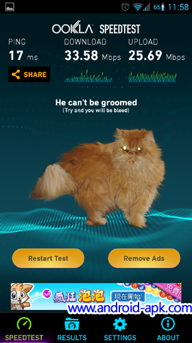 Speed Test Swipe Down Cat