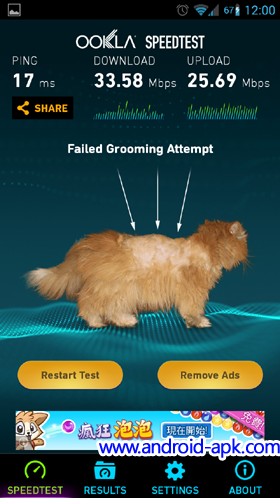 Speed Test Swipe Down cat