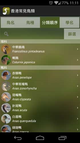 香港常見鳥類 分類