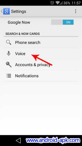 OK Google, Google Now Voice Settings