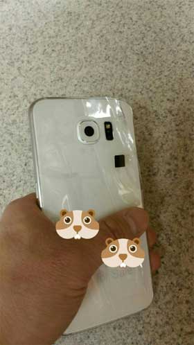 Galaxy S6 背面