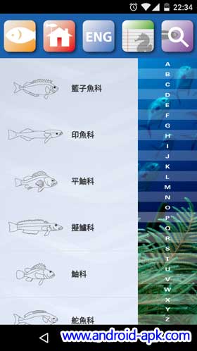 香港魚類 分類