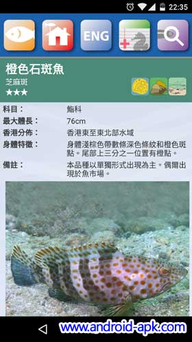 香港魚類 資料