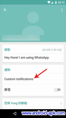 Whatsapp Custom Notification