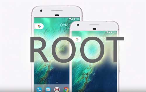 Pixel Rooted