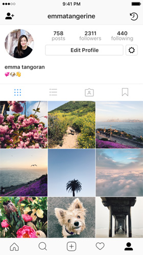 Instagram Profile