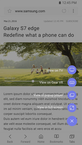Samsung Internet Browser Video Assistant