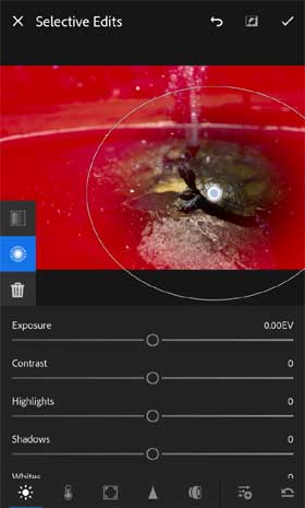 Adobe Lightroom Selective Edit