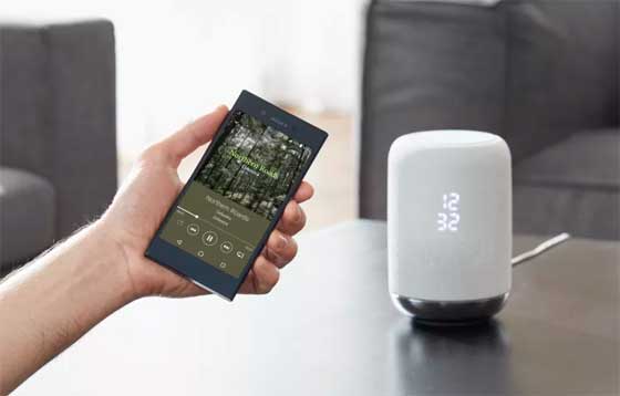 Sony Smart Speaker LF-S50G