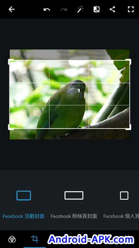 Adobe Photoshop Express Crop Ratio