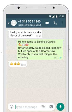Whatsapp Business Away Message