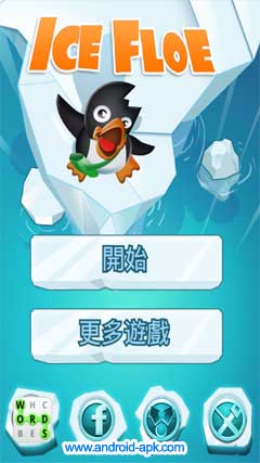 Ice Floe 浮冰上的小企鹅
