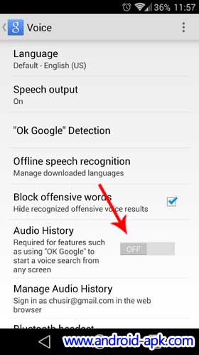 OK Google Audio History