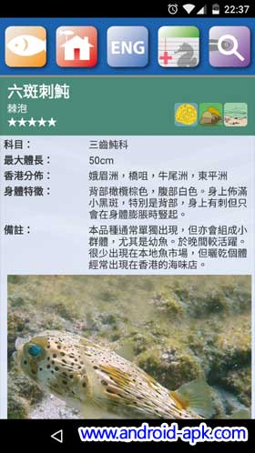 香港鱼类 资料