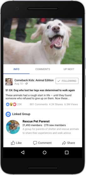 Facebook Watch Shows Comment