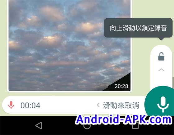 WhatsApp Recording Lock