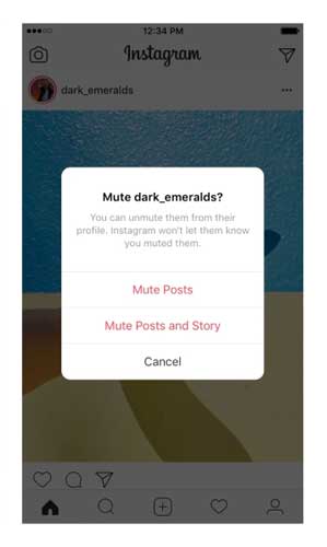 Instagram Mute Posts