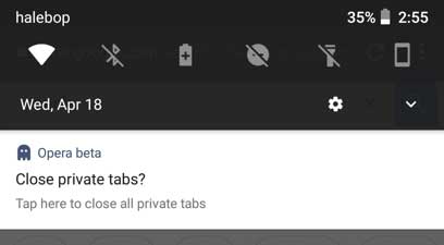 Opera Private Tab