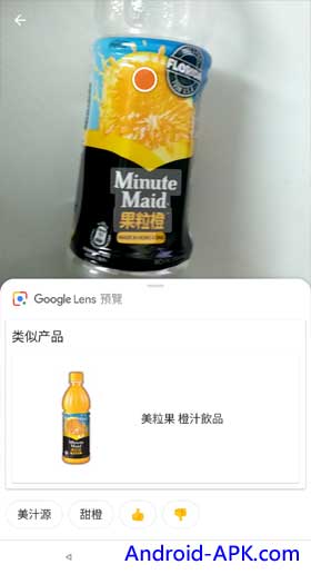 Google Lens 物件