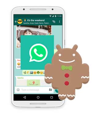 WhatsApp Gingerbread 2.3.7