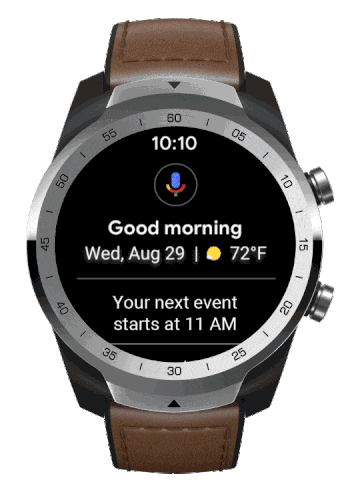 Wear OS Google Assistant