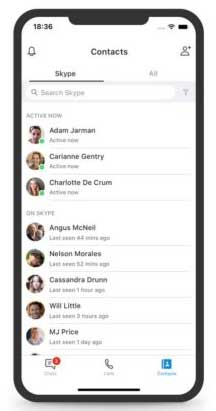 Skype Contacts