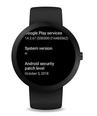 Wear OS H Update