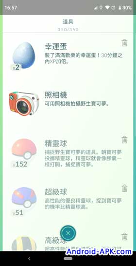 Pokemon GO Items