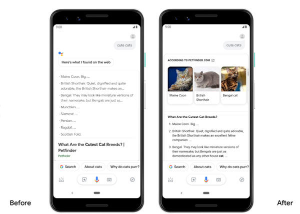 Google Assistant Photos