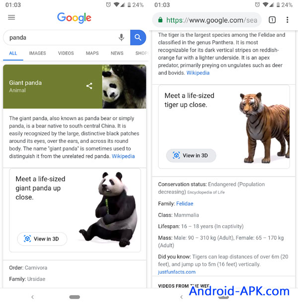 Google Search 3D 动物