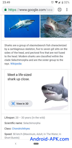 Google 搜寻 3D 鲨鱼