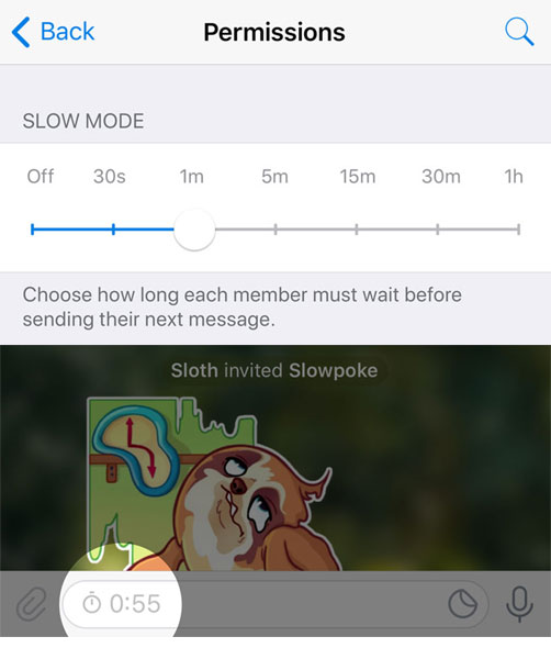 Telegram Group Slow Mode