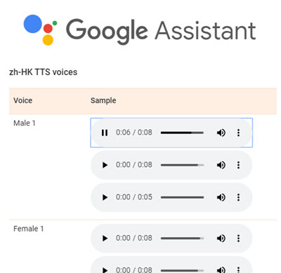 Google Assistant 广东话
