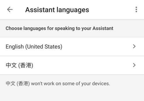 Google Assistant Language　