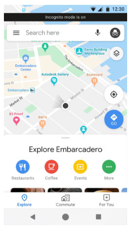 Google Maps 私隱模式