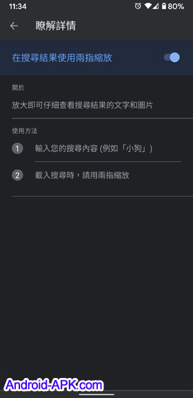 Google App 實驗室