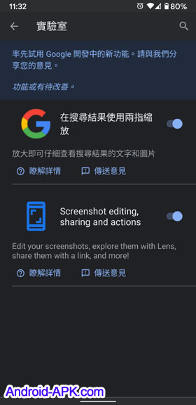 Google App 實驗室