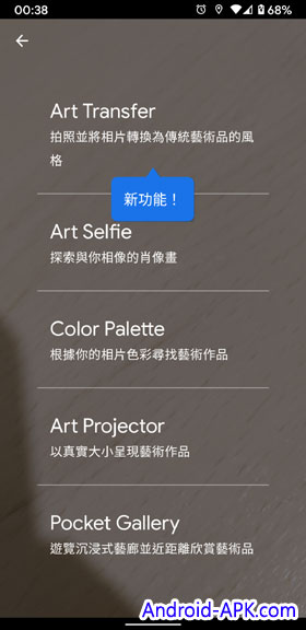 Google Arts and Culture App Art Transfer