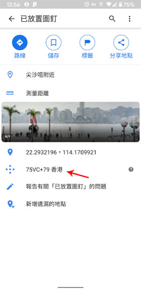 Google Maps Details