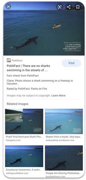 Google Images Fact Check 