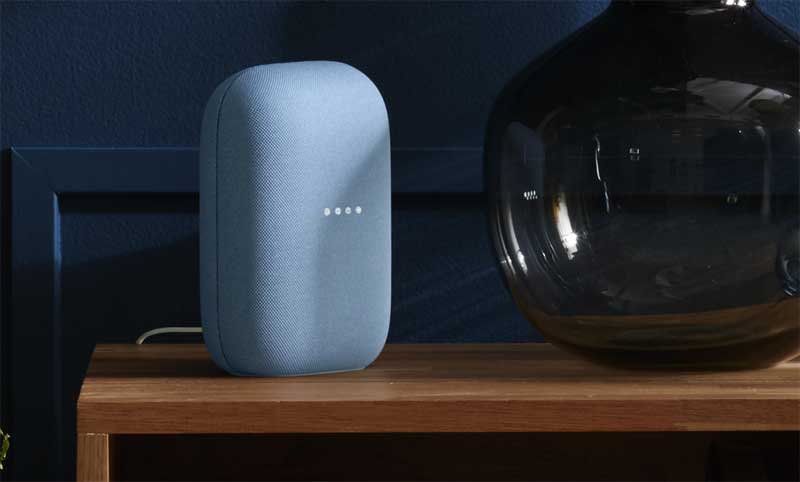 Google Nest Speaker